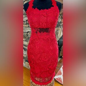 Red Lace Bodycon Dress with Sheer Waist